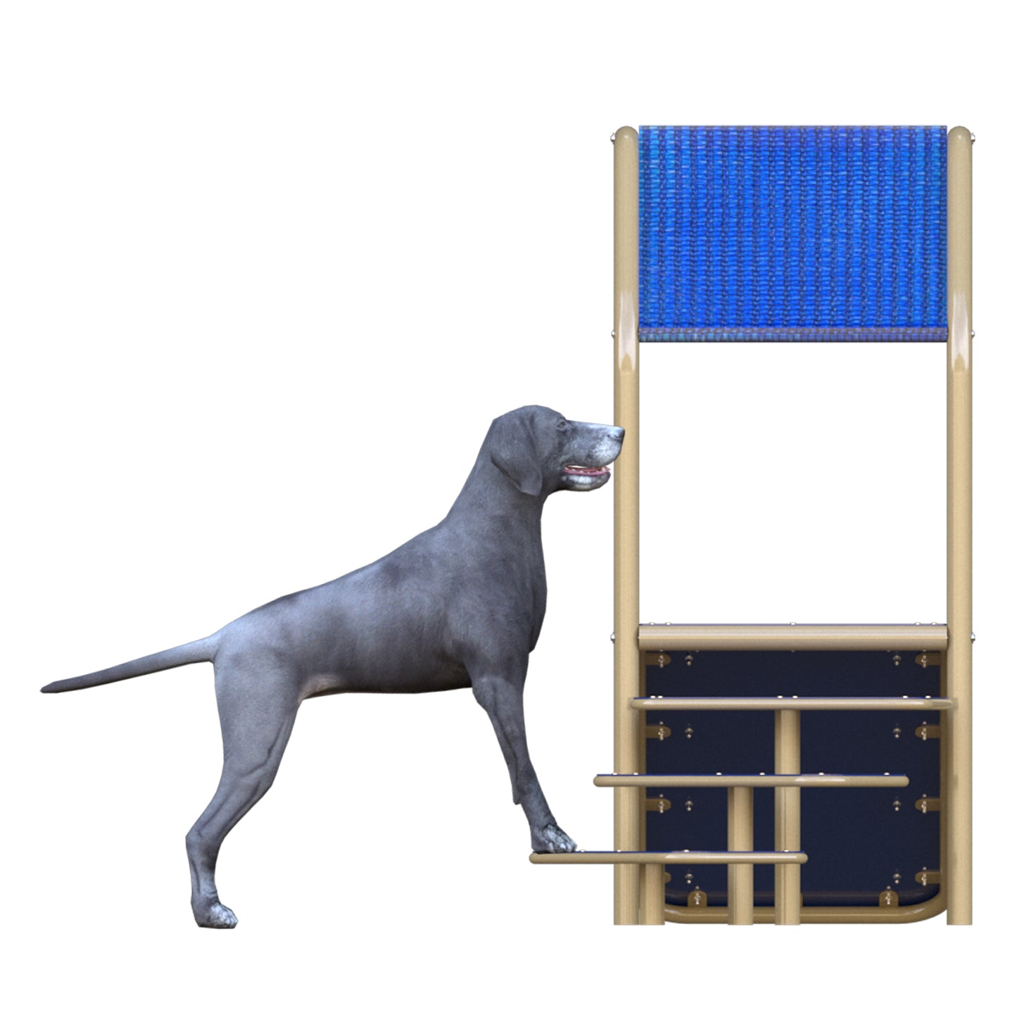 Canine Condo